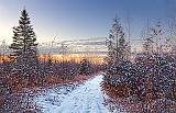 Snowy Rideau Trail At Sunrise_03335